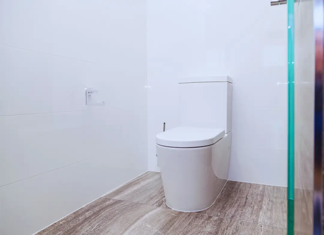 Remplacement de wc Erdre-en-Anjou